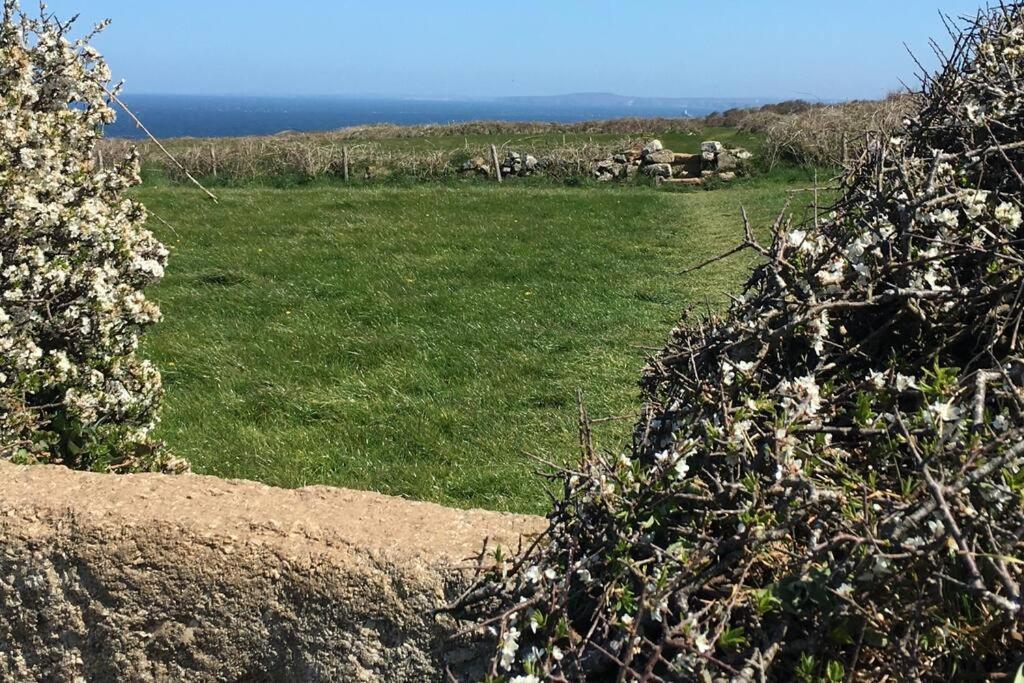 Folly Farm Cottage, Cosy, Secluded Near To St Ives (Cornwall)